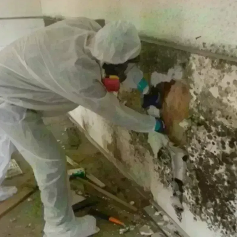 Mold Remediation and Removal in Lincroft, NJ