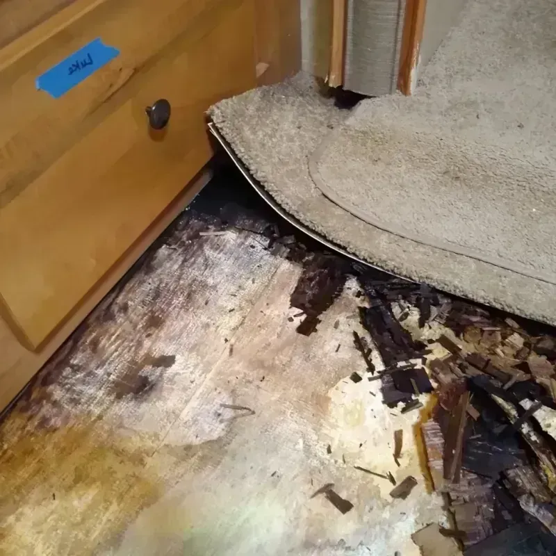 Wood Floor Water Damage in Lincroft, NJ